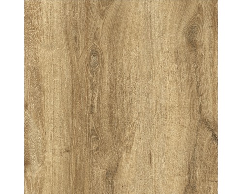 Feinsteinzeug Terrassenplatte Limewood roble 59,2 x 59,2 x 2 cm R11C - Bild 3 von 11