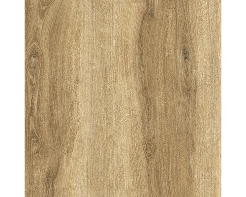 Feinsteinzeug Terrassenplatte Limewood roble 59,2 x 59,2 x 2 cm R11C - Bild 4 von 11