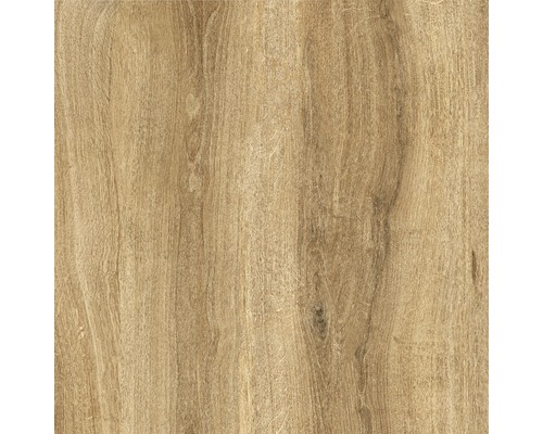 Feinsteinzeug Terrassenplatte Limewood roble 59,2 x 59,2 x 2 cm R11C - Bild 7 von 11