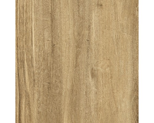 Feinsteinzeug Terrassenplatte Limewood roble 59,2 x 59,2 x 2 cm R11C - Bild 5 von 11