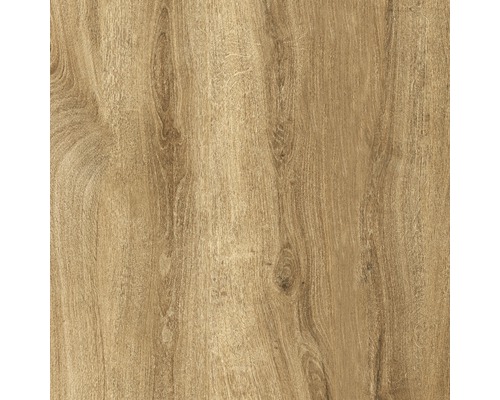 Feinsteinzeug Terrassenplatte Limewood roble 59,2 x 59,2 x 2 cm R11C - Bild 6 von 11