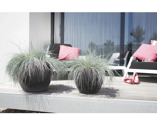 Zwei Pflanzkübel mit Ziergras auf einer Terrasse mit Sitzgelegenheiten