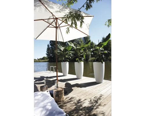 Szene auf einem Holzsteg mit Sonnenschirm und Pflanzgefäßen mit Pflanzen