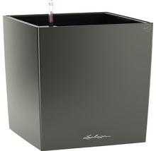 Quadratischer Pflanzkübel mit Bewässerungssystem und Wasserstandsanzeige