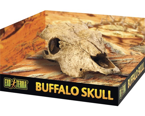 Exo Terra Büffelschädel für Terrarien