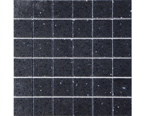 Natursteinmosaik Quarzit 30,0x30,0 cm schwarz