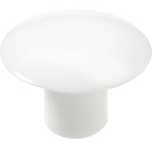 Möbelknopf aus Kunststoff