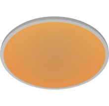 Ovale Deckenleuchte