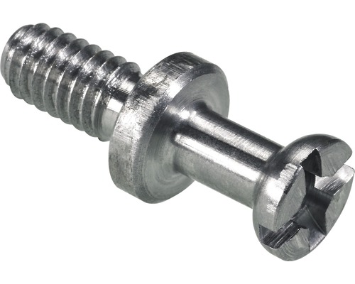 Einschraubdübel für Verbindungsbeschlag Ø 6,7 mm, 200 Stück Metallschraube mit Schlitzkopf