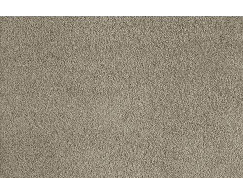 Teppichboden Shaggy Softness schlamm FB39 400 cm breit (Meterware) Nahaufnahme eines Teppichs