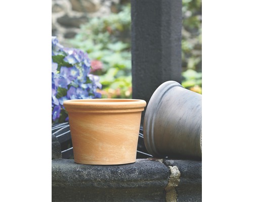 Blumentopf aus Terrakotta für den Garten