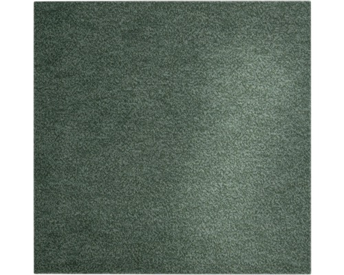 Teppichboden Shag Catania grün 400 cm breit (Meterware)