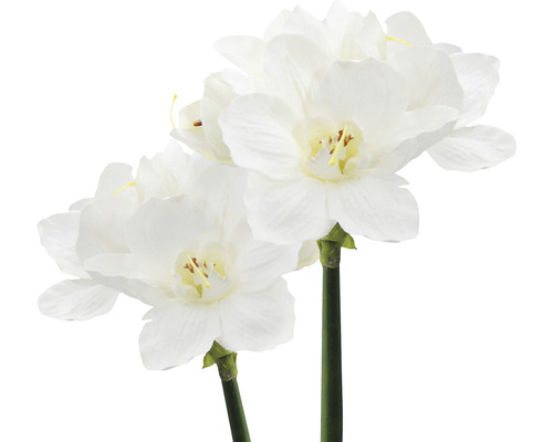 Zwei künstliche Narzissen mit weißen Blüten