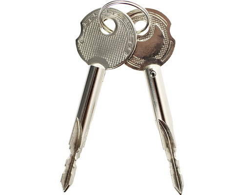 Zwei Schlüssel an einem Schlüsselring