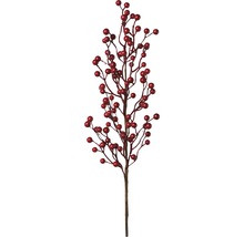 Dekorativer Beeren-Zweig mit roten Beeren für die Dekoration