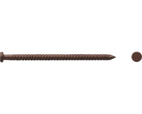 Paneelstift Ø 1,6x26 mm dunkelbraun, 140 Stk. Eine einzelne Holzschraube mit einem Linsenkopf