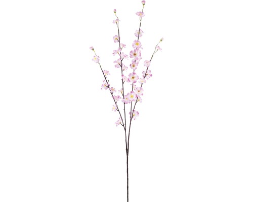 Perzit Blütenzweig H 96 cm rosa-0