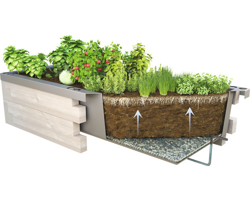 Hochbeet mit verschiedenen Pflanzen, Erdreich und Wurzelsystem