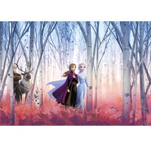 Fototapete Papier SD4102 Disney Edition 4 Disney Frozen Friends forever 8-tlg. 368 x 254 cm