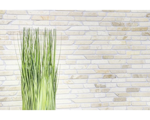 Dekorative grüne Halme vor einer Steinwand