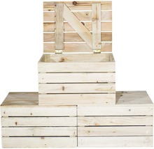 Vintage Holztruhe natur klein 50x40x30 cm 3er-Set