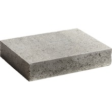 Pflasterstein aus Beton
