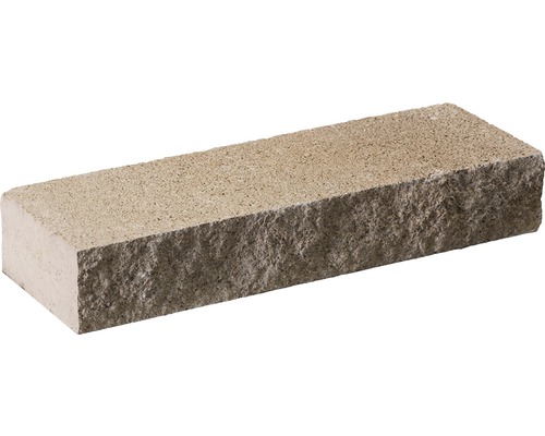 Einzelner Pflasterstein