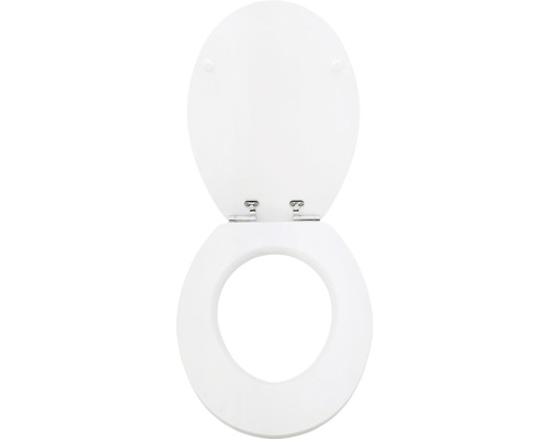 Toilettensitz mit Deckel in geöffnetem Zustand