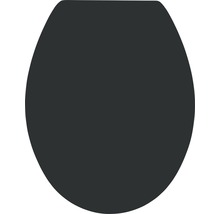 WC-Sitz Form & Style Color Edge schwarz mit Absenkautomatik-thumb-5