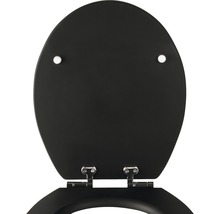 Schwarzer Toilettendeckel mit Edelstahlscharnieren