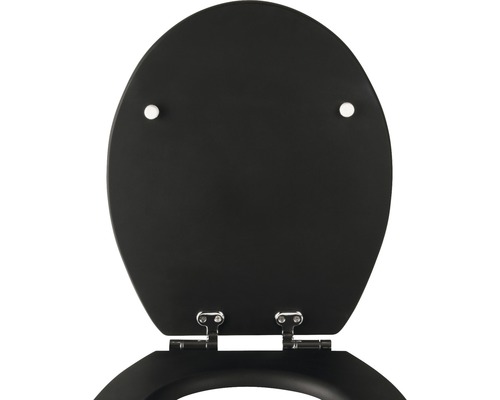 Schwarzer Toilettendeckel mit Edelstahlscharnieren