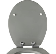 WC-Sitz Soft Touch grau mit Absenkautomatik-thumb-4