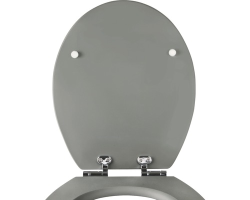 Grauer Toilettendeckel