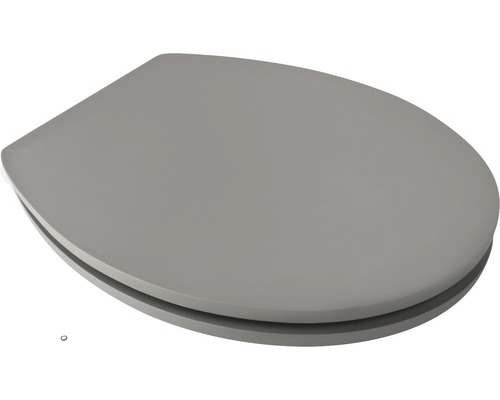 Grauer WC-Sitz