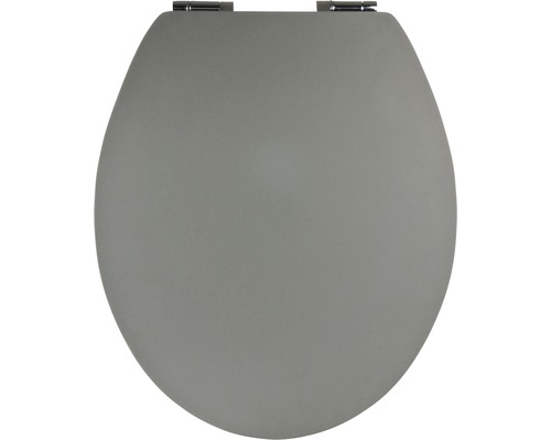 Grauer WC Sitz mit Befestigung