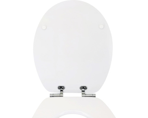 Toilettendeckel aus Sanitärkeramik