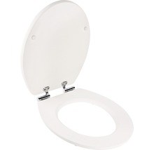 Toilettensitz mit Deckel in geöffneter Position