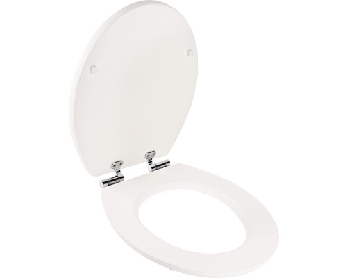 Toilettensitz mit Deckel in geöffneter Position