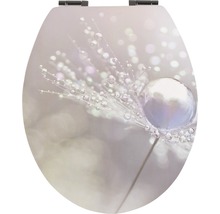 Toilettendeckel mit Pusteblumen Motiv und Wassertropfen