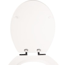 Toilettendeckel aus Holz mit Scharnieren