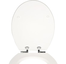 Toilettendeckel mit verchromten Scharnieren