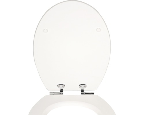 Toilettendeckel mit verchromten Scharnieren