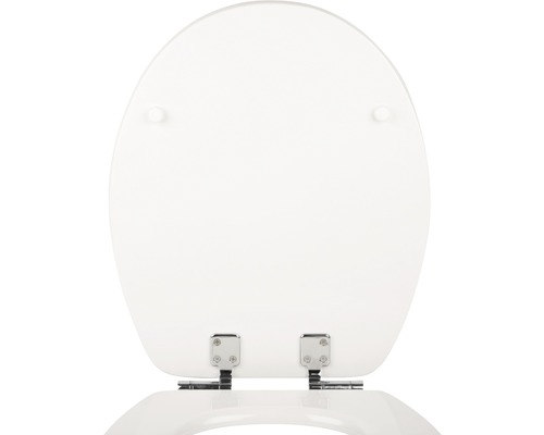 Toilettendeckel aus Kunststoff mit Chrom-Scharnieren