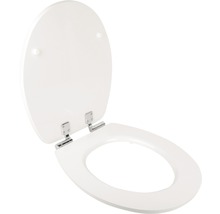 Toilettendeckel aus Kunststoff mit Edelstahlscharnieren