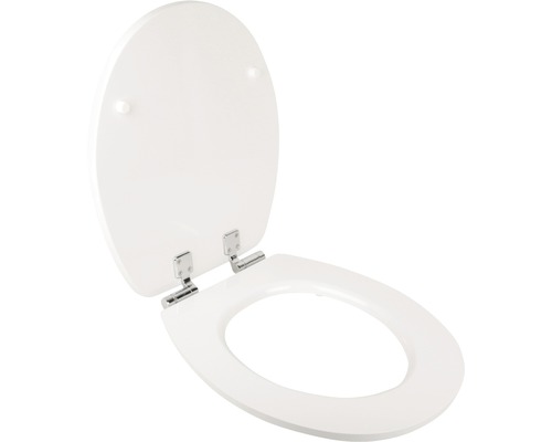 Toilettendeckel aus Kunststoff mit Edelstahlscharnieren