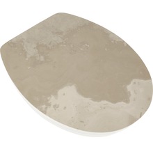 Toilettendeckel aus Duroplast