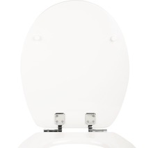 Toilettendeckel aus Kunststoff