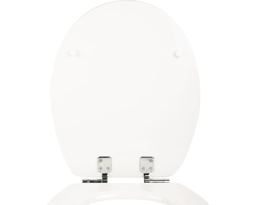 Toilettendeckel aus Kunststoff