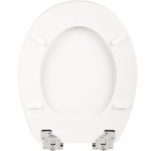 Toilettendeckel aus Kunststoff