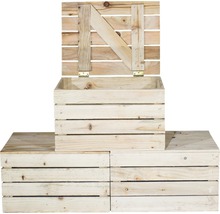 Holztruhe natur 50x40x30 cm